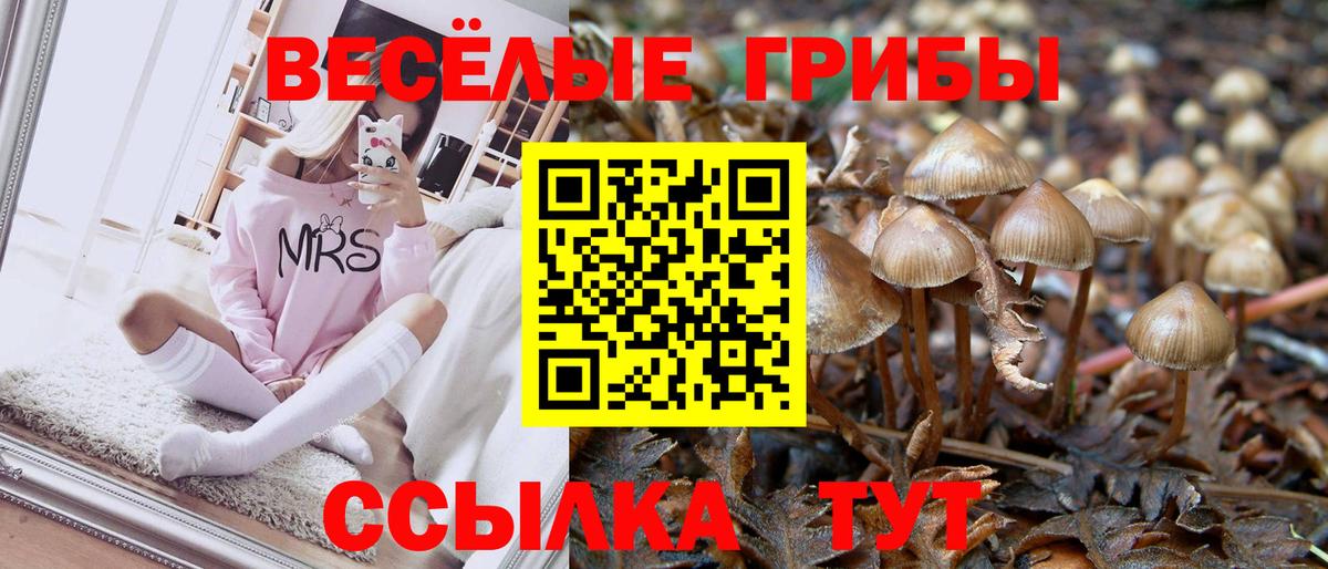 Галлюциногенные грибы мухоморы  Вход с VPN  Абинск 