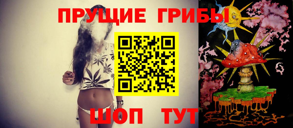 Галлюциногенные грибы прущие грибы Абинск